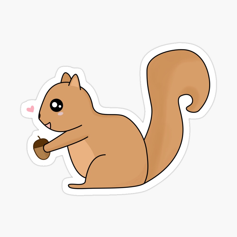 Squirrel Drawing Vector Art, Icons, and Graphics for Free Download