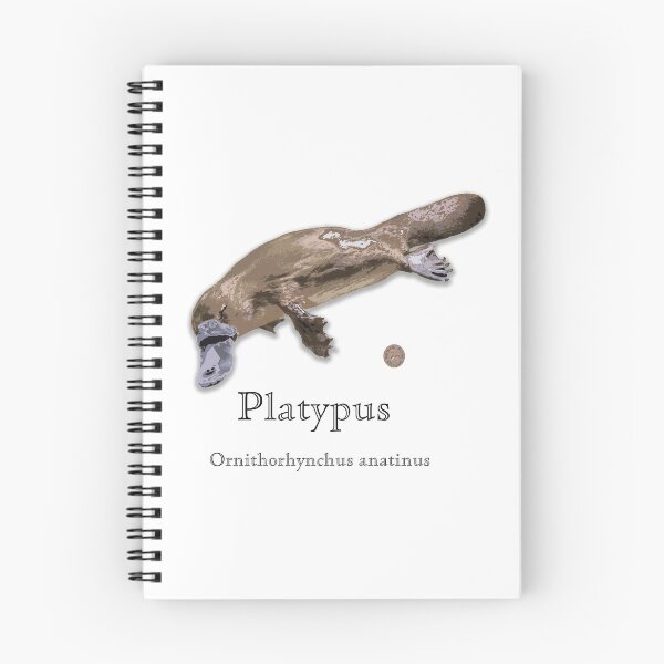 Item preview, Platypus by Chrissy Wild designed and sold by ChrissyWild.