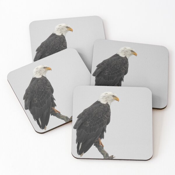 Item preview, Bald Eagle sitting atop the tree designed and sold by GerryBuckel.