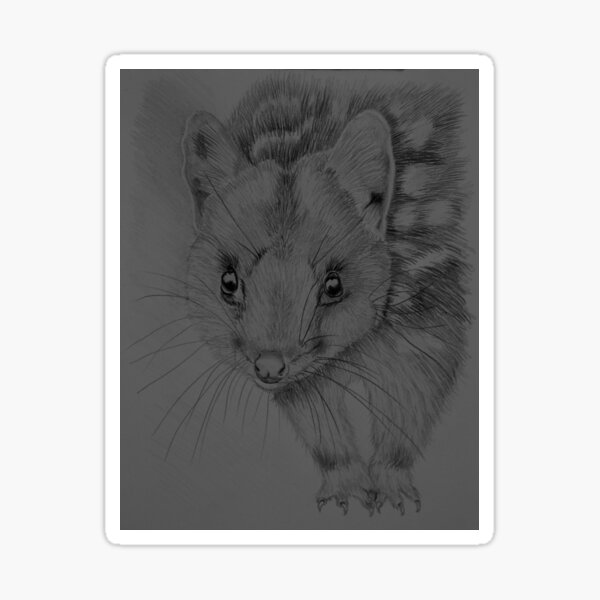Item preview, QUOLL designed and sold by jansimpressions.