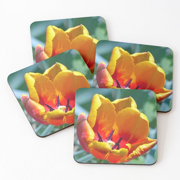Item preview, Tulip designed and sold by Frankie Cat Photography.
