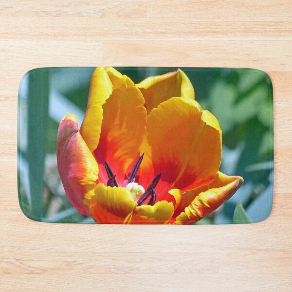 Item preview, Tulip designed and sold by Frankie Cat Photography.