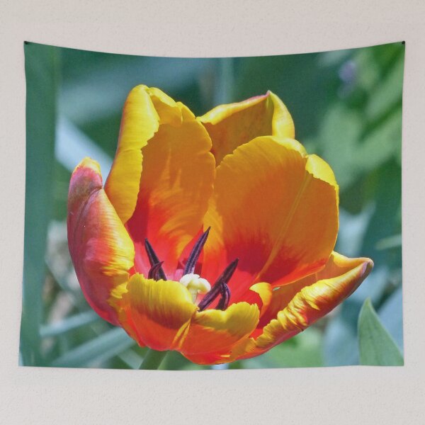 Item preview, Tulip designed and sold by Frankie Cat Photography.