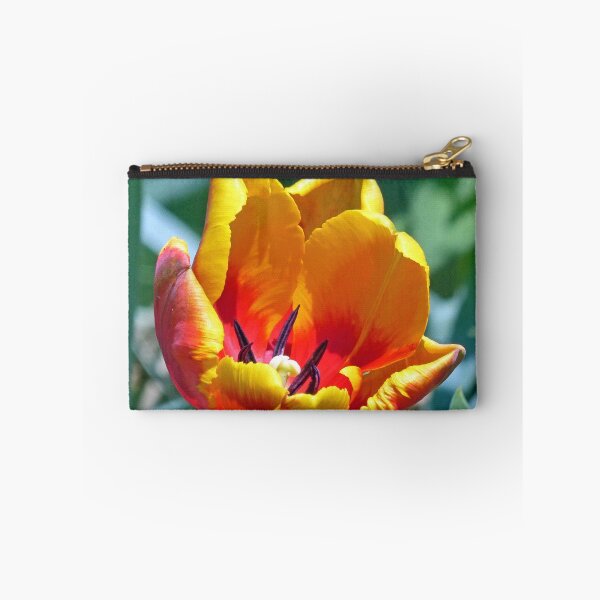 Item preview, Tulip designed and sold by Frankie Cat Photography.
