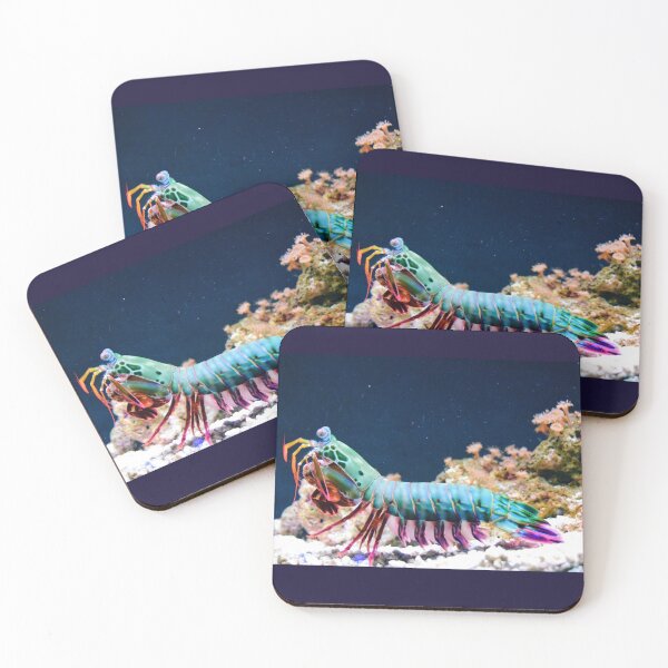 Item preview, Rainbow Shrimp designed and sold by Lauren Pechman.