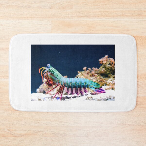 Item preview, Rainbow Shrimp designed and sold by Lauren Pechman.