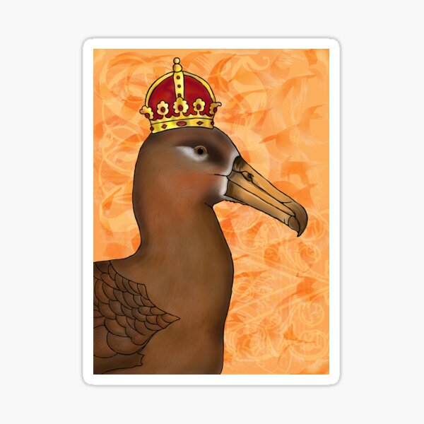 Black-footed Albatross Sticker