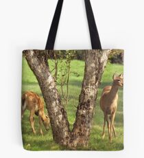 Mother and Child Tote Bag