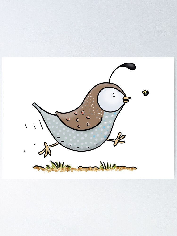 Cute running californian quail cartoon illustration
