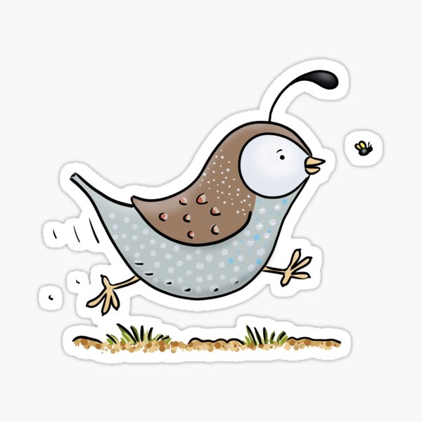 Cute running californian quail cartoon illustration Sticker
