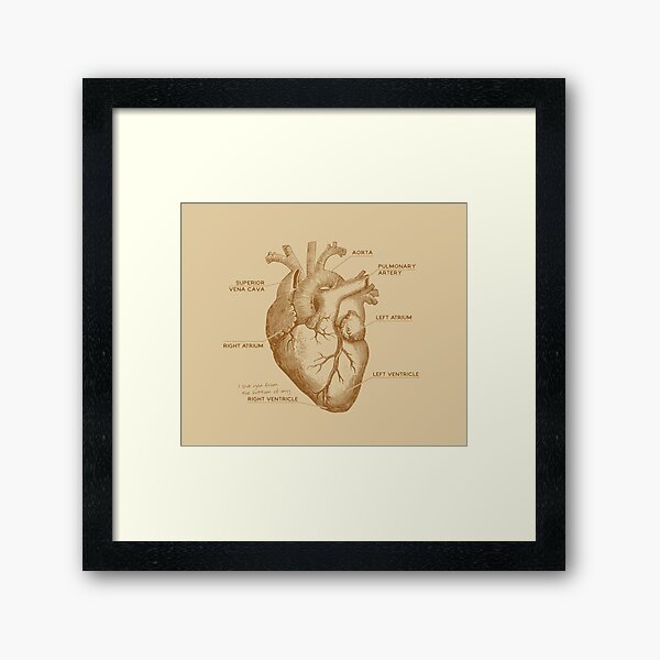 I Love You From The Bottom of My Right Ventricle Anatomy Framed Art Print