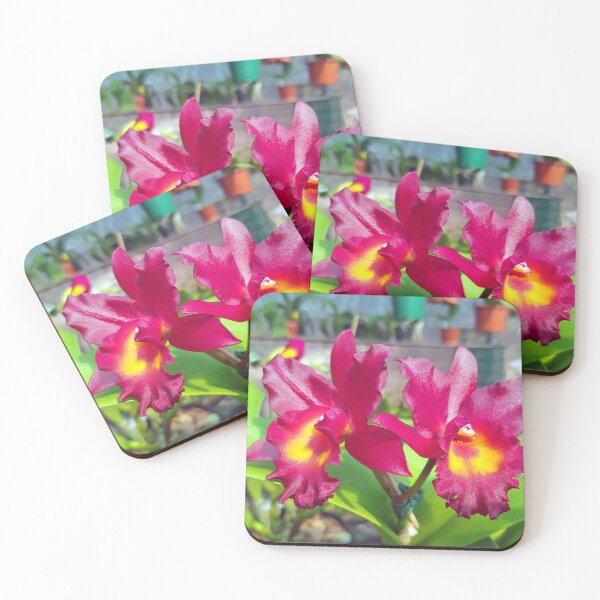 Item preview, Rich Red Orchid designed and sold by fnq-photography.