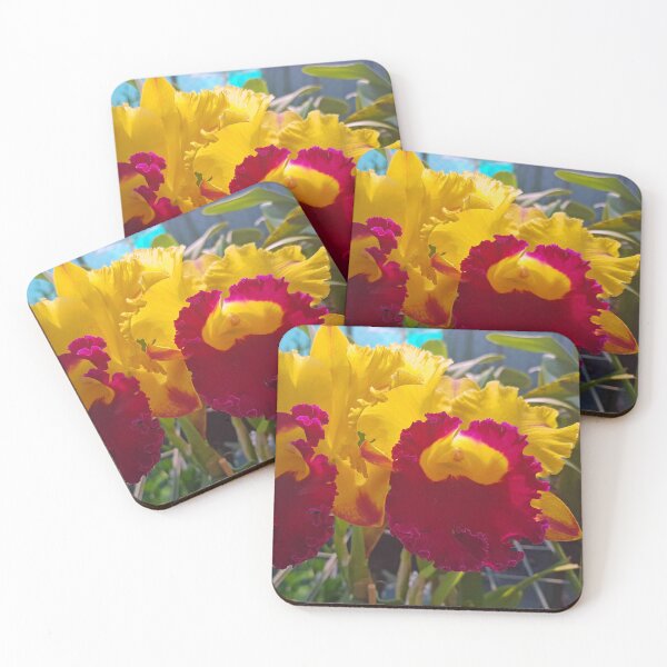 Item preview, Yellow and Red Orchids designed and sold by fnq-photography.
