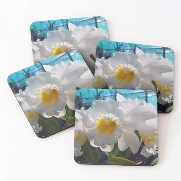 Item preview, White Orchids designed and sold by fnq-photography.