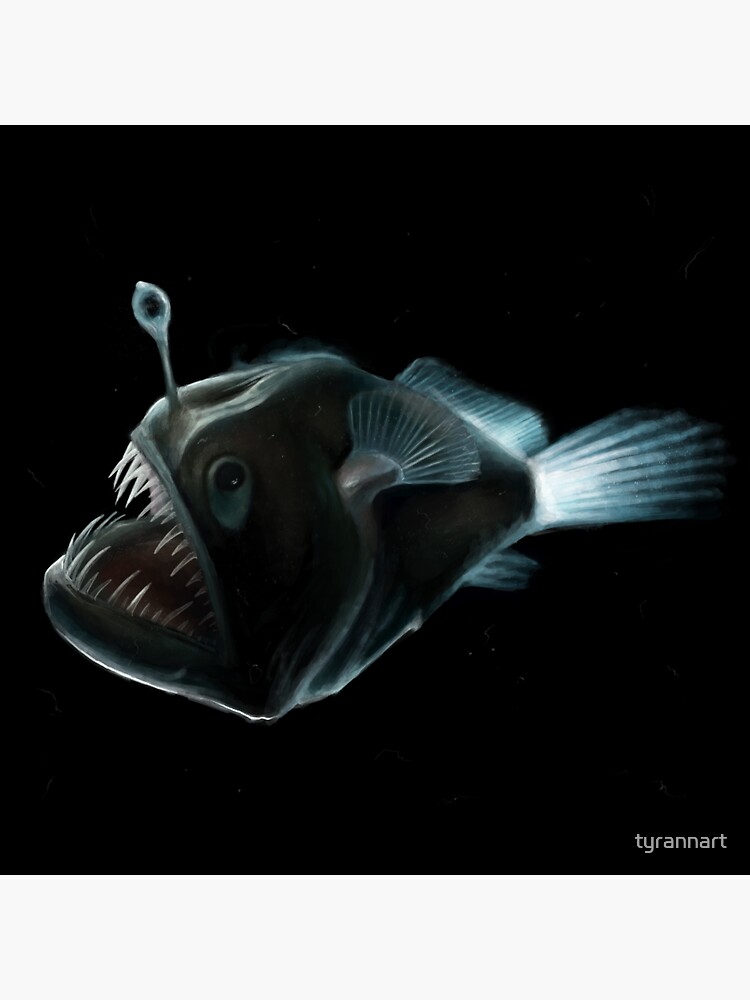 Blobfish - Deepsea Oddities 