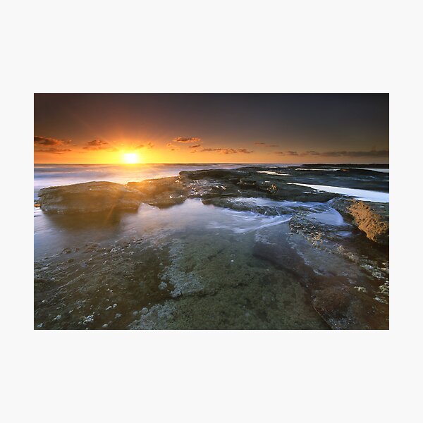 "It's the little things..." ∞ Caloundra, QLD - Australia Photographic Print
