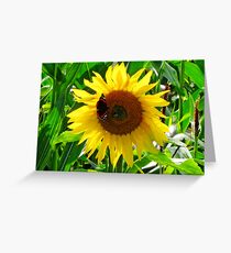 Face of Summer Greeting Card