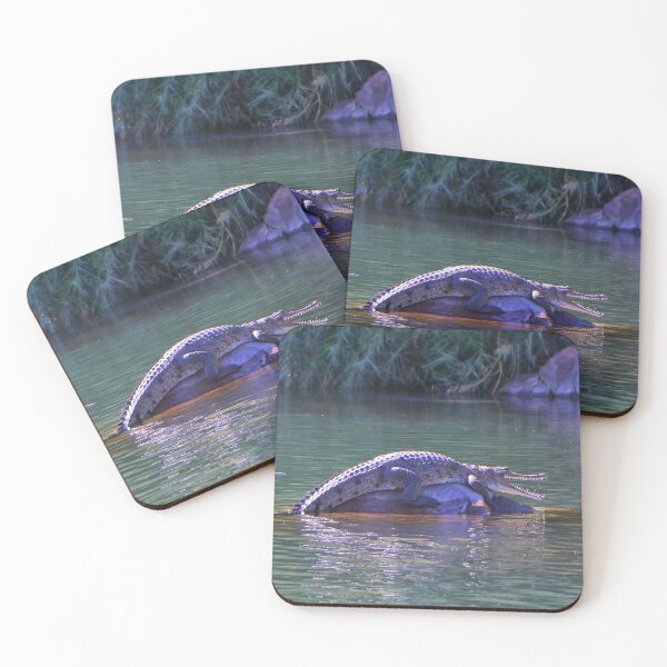 Item preview, Croc on a rock, Ord River , Western Australia designed and sold by FranWest.
