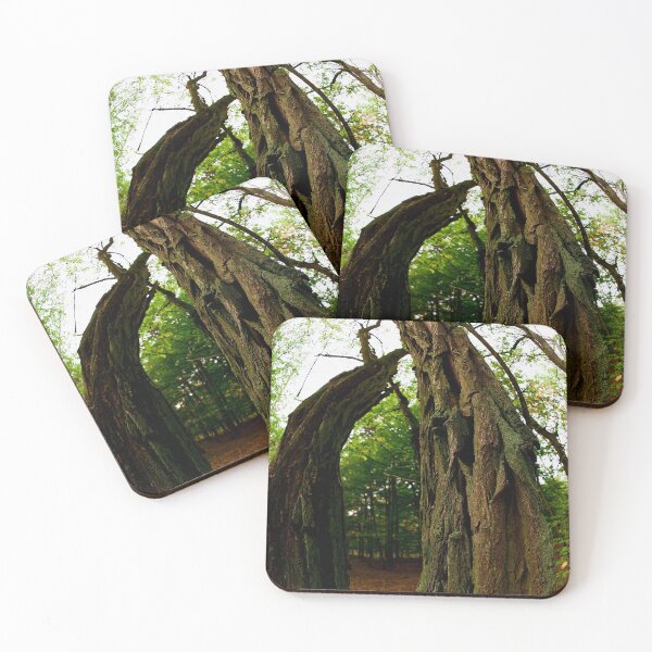 Item preview, Bosque bailando designed and sold by Elfchen.