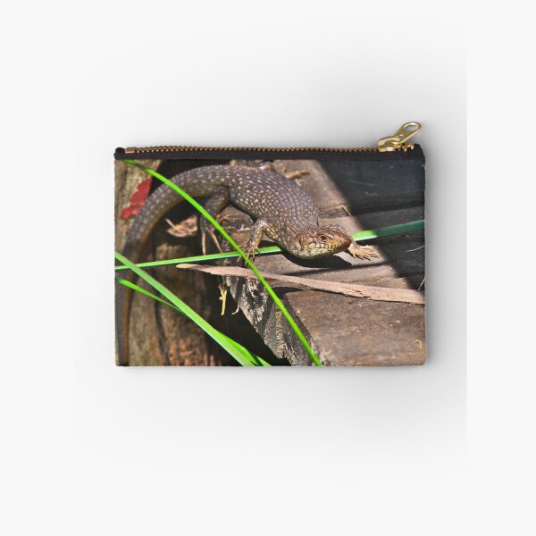 Item preview, A King Skink Warming Itself In The Sun designed and sold by Jason Gilbert.