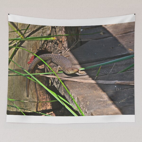 Item preview, A King Skink Warming Itself In The Sun designed and sold by Jason Gilbert.