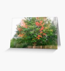 Seasonal Scape Greeting Card