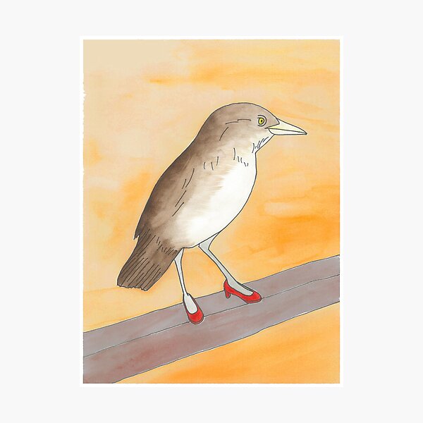Lyndon - Birds in Heels Original Photographic Print