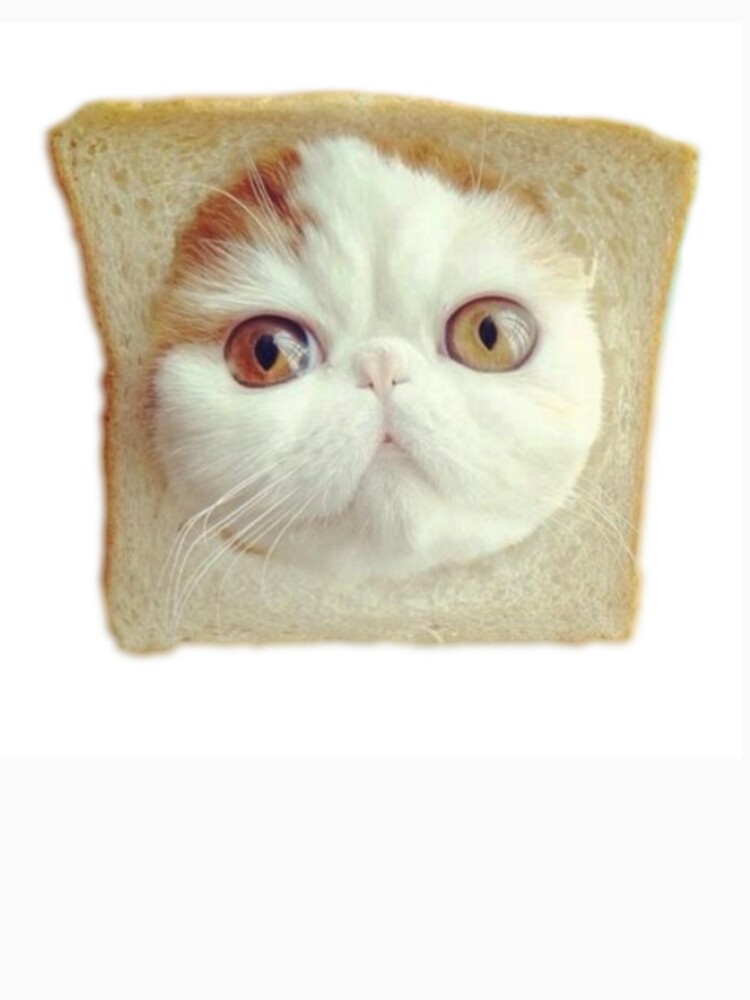 Cat bread outlet hoodie