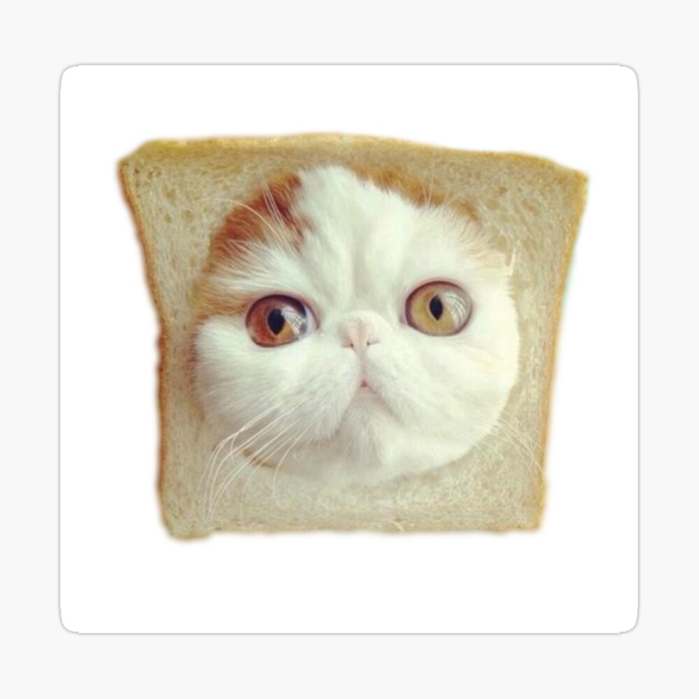 cat bread Poster for Sale by BattleGoat