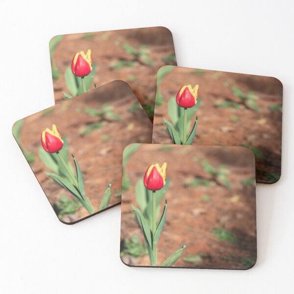 Item preview, Red-yellow tulip flower close-up on a blurred background designed and sold by EG Creativity Art.