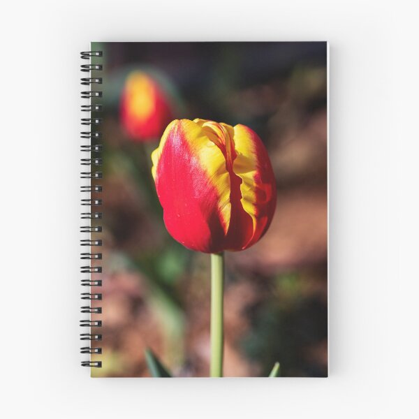 Item preview, Red-yellow flowers tulips close-up on a blurred background designed and sold by EG Creativity Art.