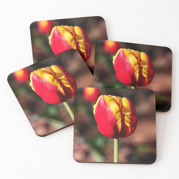 Item preview, Red-yellow flowers tulips close-up on a blurred background designed and sold by EG Creativity Art.