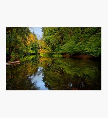 Reflections Of Light ~ Siuslaw River ~ Photographic Print