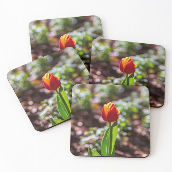 Item preview, Red-yellow flowers tulips close up on a blurred background designed and sold by EG Creativity Art.