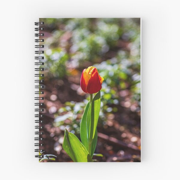 Item preview, Red-yellow flowers tulips close up on a blurred background designed and sold by EG Creativity Art.