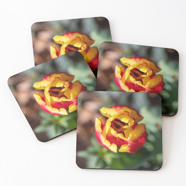 Item preview, Top view of red-yellow tulip flower close up on a blurred background designed and sold by EG Creativity Art.