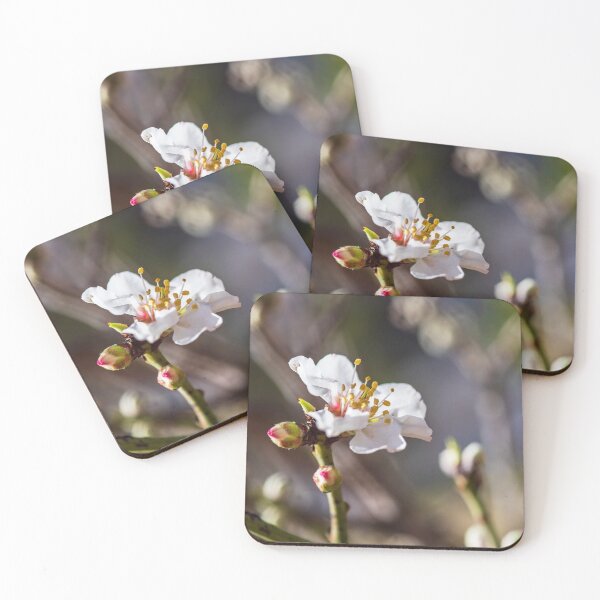 Item preview, Almond tree branch with buds and a blossoming flower close-up on a blurred background designed and sold by EG Creativity Art.