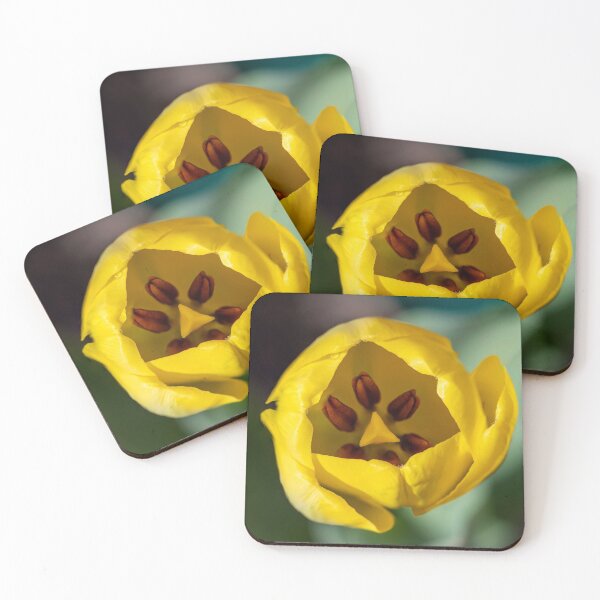 Artikelvorschau, Top view of yellow tulip flower close up on a blurred background entworfen und verkauft von EG Creativity Art.