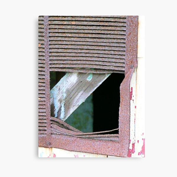Rusty Door Panel Canvas Print