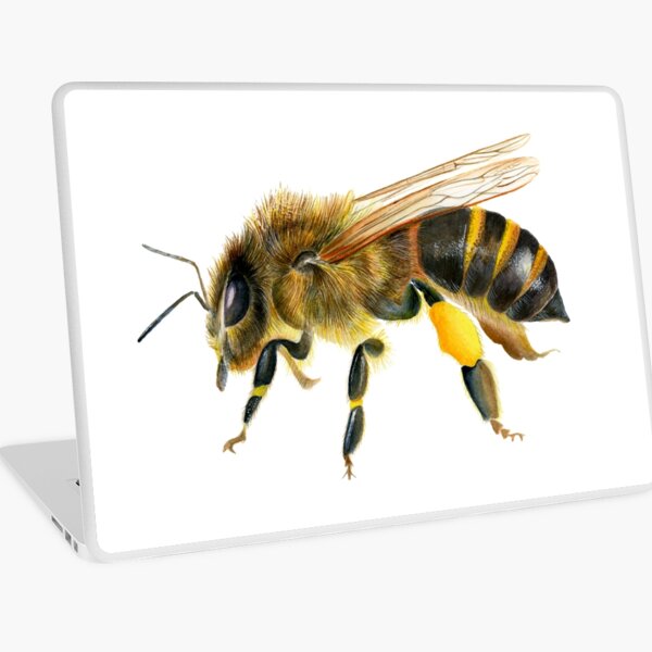 Honey Bee Insect Watercolor Painting Wildlife Artwork Laptop Skin
