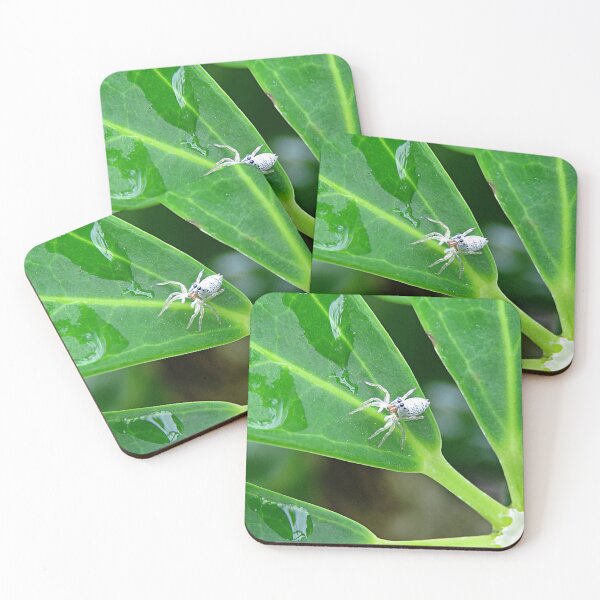 Item preview, Tropical Jumping Spider designed and sold by Linda Walsh.