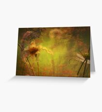 Through the Woods Again.. Greeting Card