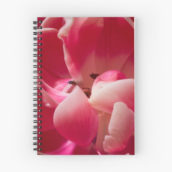 Item preview, Hidden gems. Tulips 2 designed and sold by Jouko Lehto Photography.