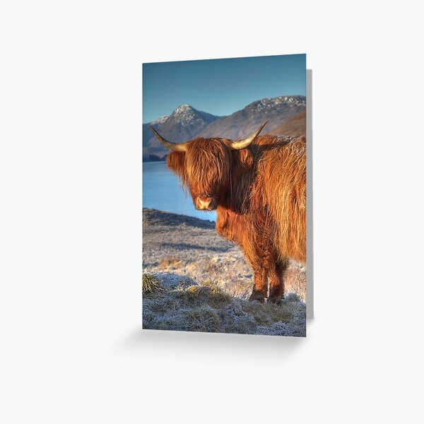 The Guardian Greeting Card