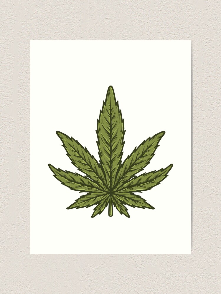 420 cannabis banner vector design illustration with marijuana leaf