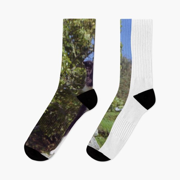 Item preview, The Long Goodbye. designed and sold by Michael Haslam.
