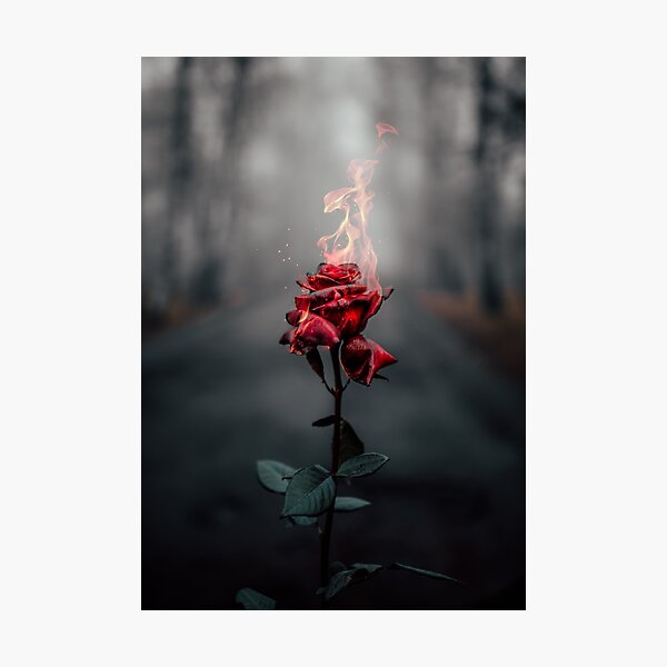 The Burning Rose Photographic Print