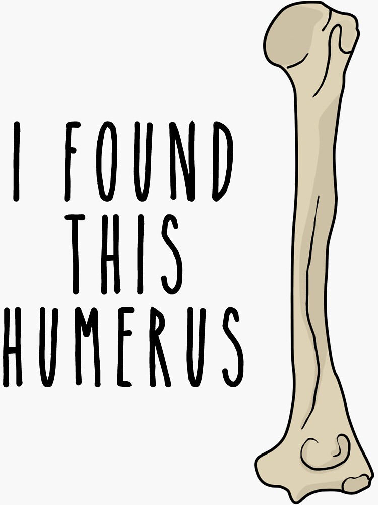 i have found this humerus