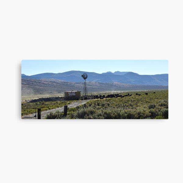 Item preview, Salmon Idaho - Petty Coat Junction Cattle designed and sold by IMAGETAKERS.