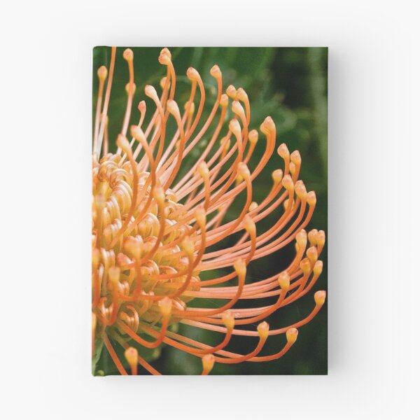 Item preview, Sun Drops  designed and sold by shoot2print.